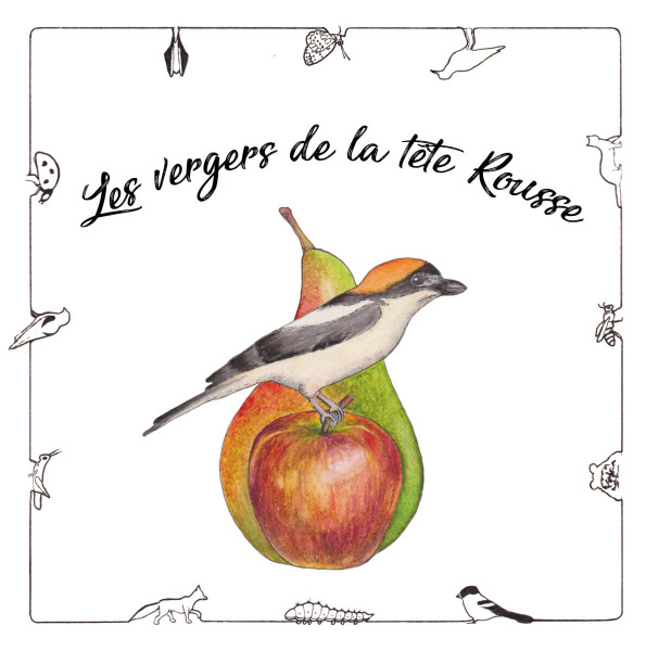Pépinière - Les Vergers de la Tête Rousse