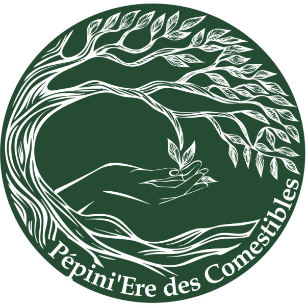 Pépini’Ere des comestibles